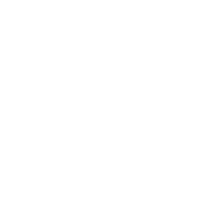 244